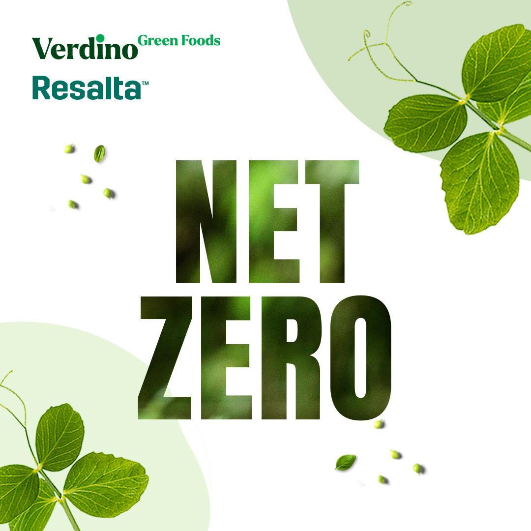 net zero verdino